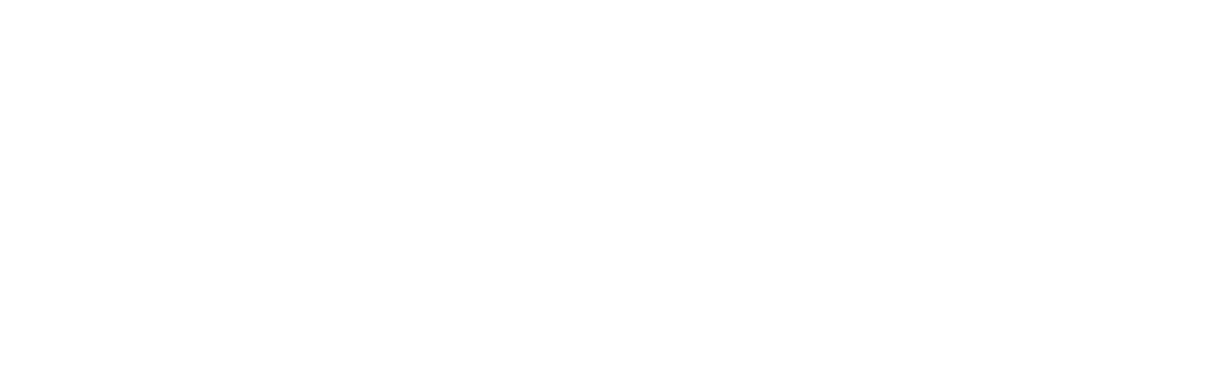Large+logo+(white).png
